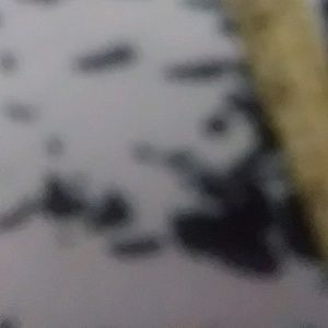 Meet your Posher, Dayshawn